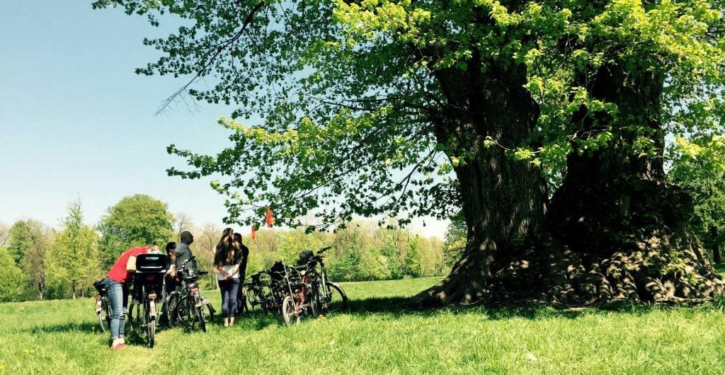 Englischer-Garten E-Bike-Tour mit MucTours MucBike